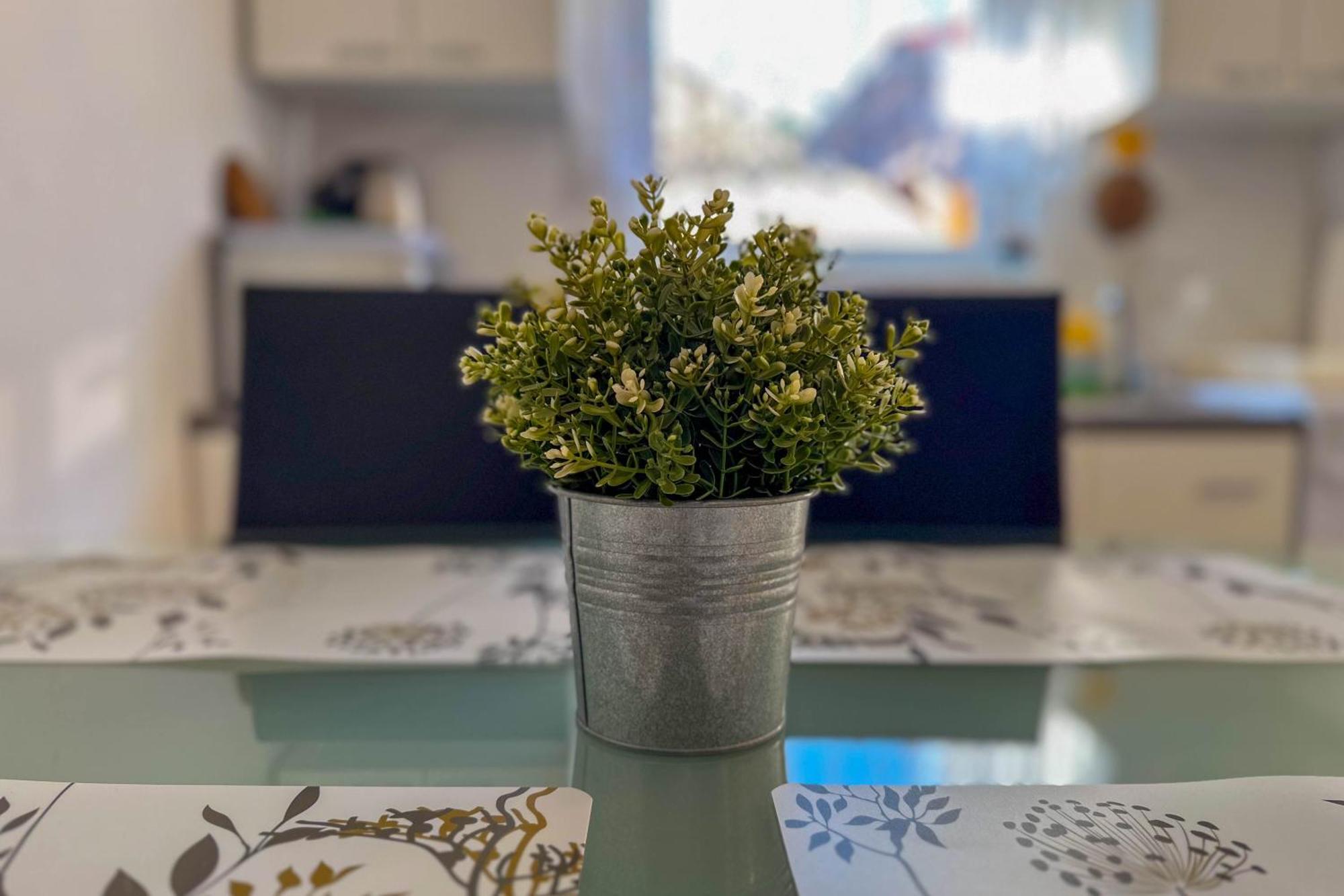 Apartmani Trupeljak Mandre Extérieur photo